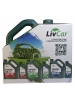 LivCar Energy Eco 5W-30 (_4+1)